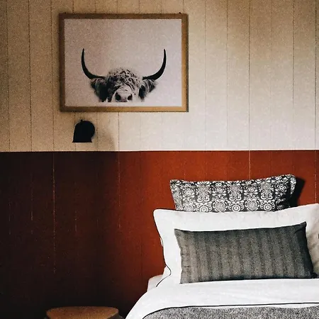 فندق مبيت وإفطار Esterofili كارمينيانو