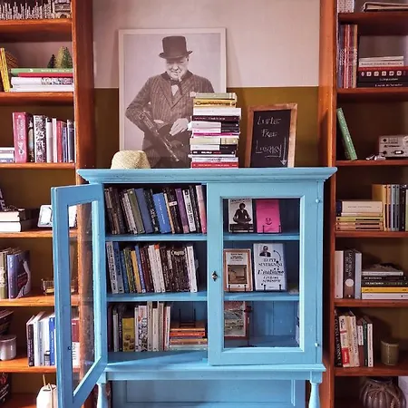 Esterofili 까르미냐노