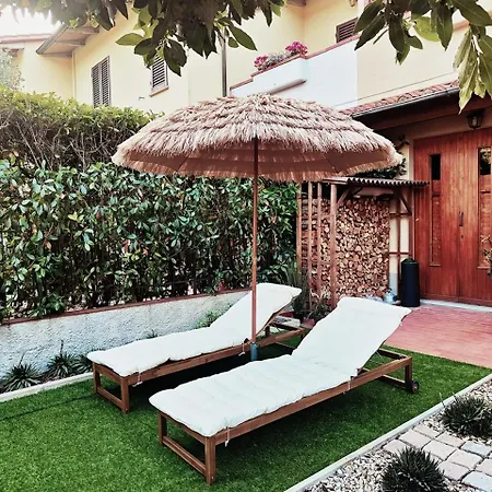 Esterofili * كارمينيانو