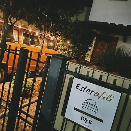 Esterofili קרמיניאנו